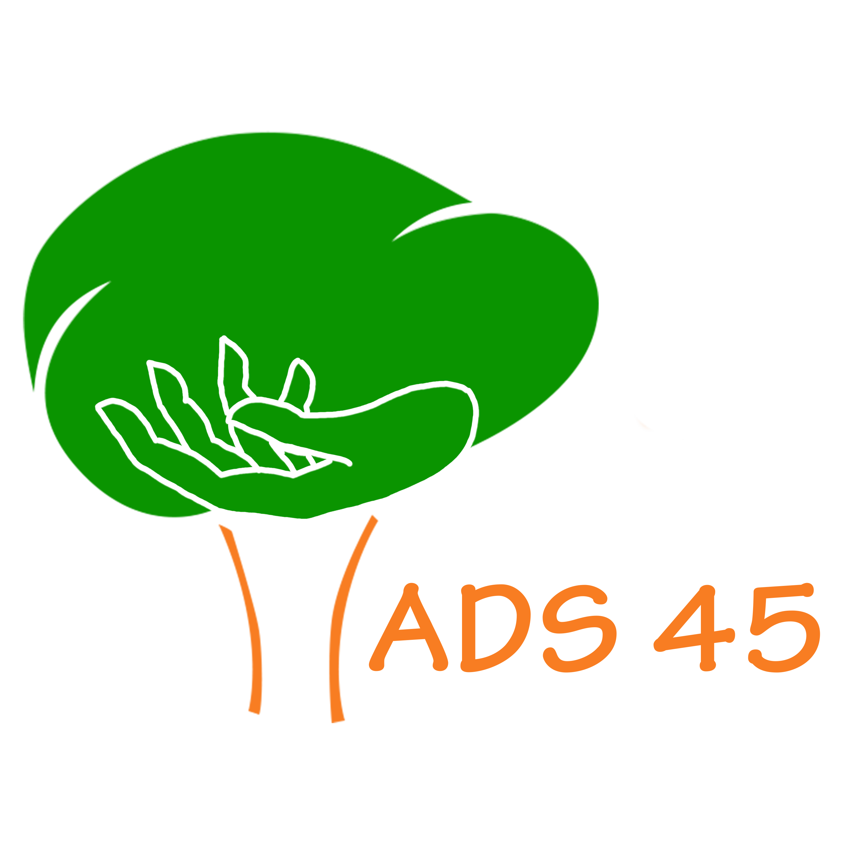 ADS45